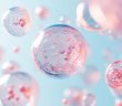 Minimalistic illustration of exosomes